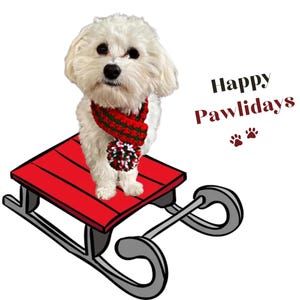 Christmas Dog Scarf Crochet Pattern: Easy Pom Pom Dog Scarf, Crochet for Dogs, Holiday Pet Accessory (Digital Download)