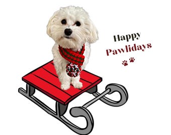 Christmas Dog Scarf Crochet Pattern: Easy Pom Pom Dog Scarf, Crochet for Dogs, Holiday Pet Accessory (Digital Download)
