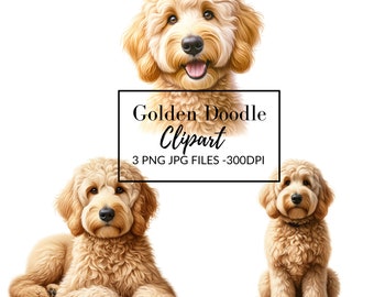 Golden Doodle Puppy Clipart: Digital Dog Art (3 PNG Files)