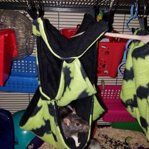May include: Three black and white rats in a green and black hanging hammock inside a cage. The hammock is made of soft fabric and has a black and green pattern. The rats are all looking at the camera.