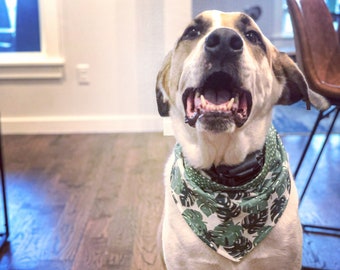 Donate a Dog Bandana to Puppy Haven Rescue in Tulsa, Ok