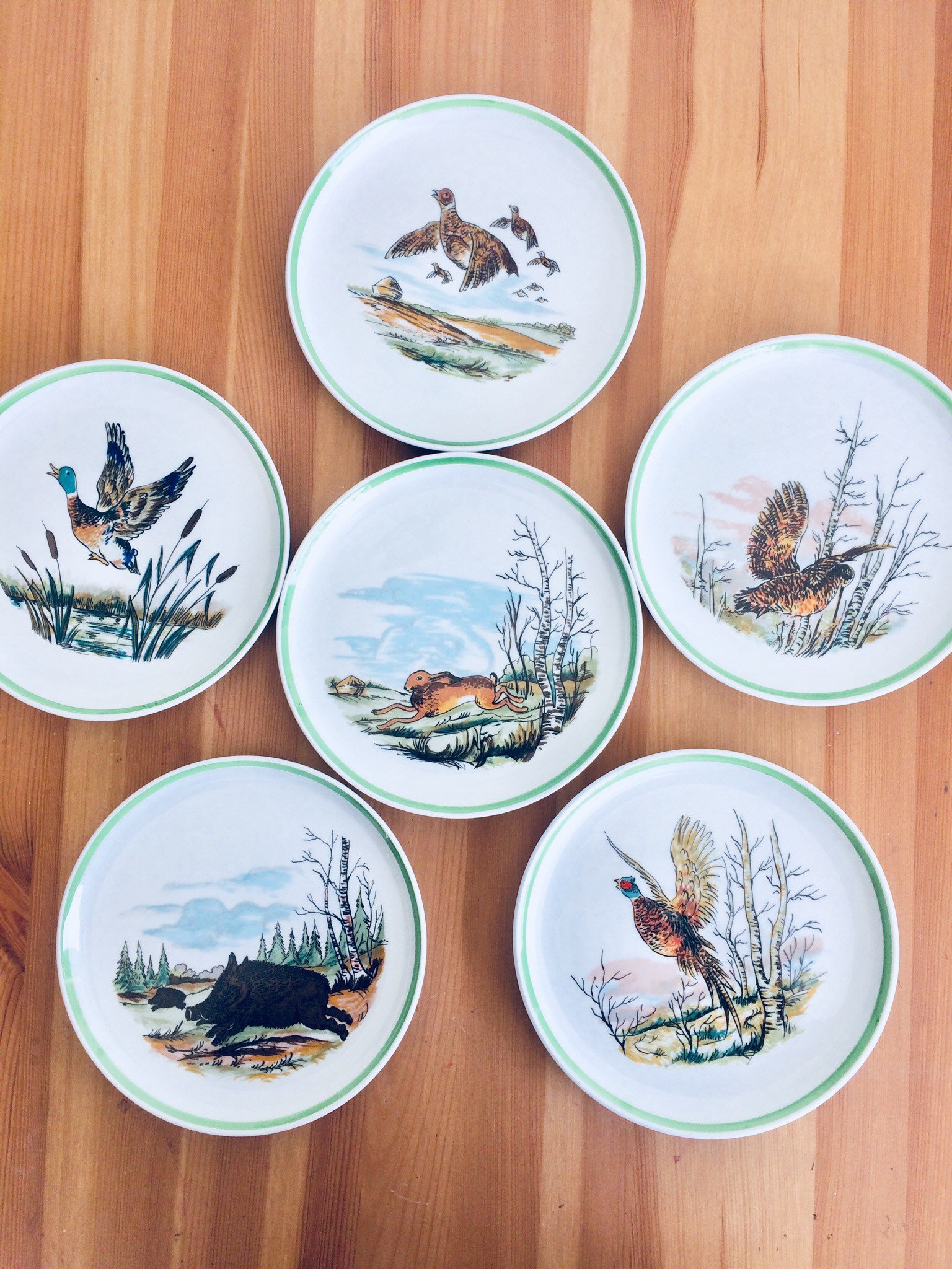 Assiettes Vintage | x6 en Porcelaine Blanche Illustration Animaux de La Forêt .