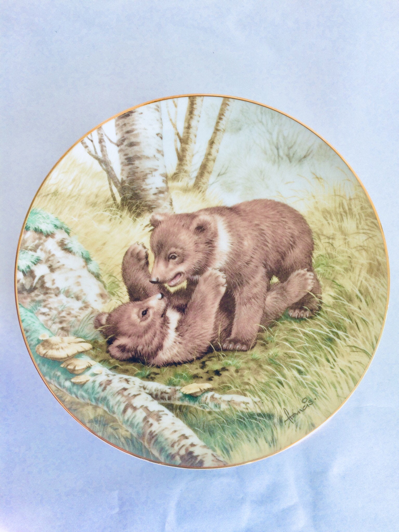 Assiette Décorative de Collection Fine Porcelaine The Forest Yearbear Cubs Join in à May Frolic'sign