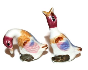 Salt and Pepper Shakers Colorful Ducks