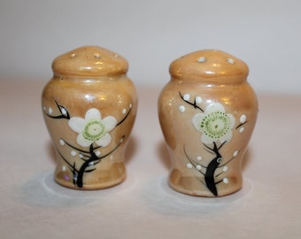 Salt and Pepper Shaker Vintage Set