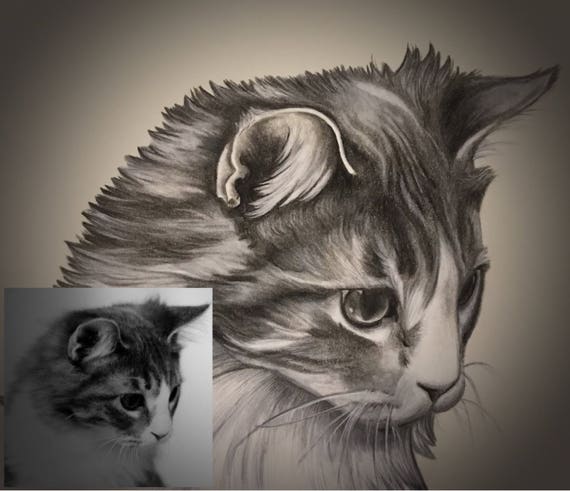 Dessin De Chat Personnalise Dessin Realiste De Chat Dessin Etsy