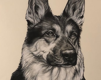 Custom Charcoal Pet Portrait: Hand-Drawn Dog Art from Photo