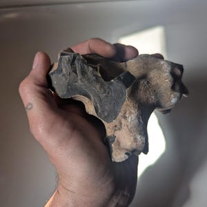Raw Black Flint Nodule