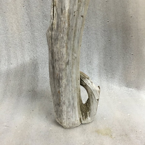 Built-in Handle Driftwood Piece, Aquarium, Terrarium, Taxidermy, Craft, Floral Driftwood, Coastal Garden Beach Wedding Decor, Photo Prop,