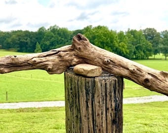 Washed-Out Pine Branch Driftwood Piece, Aquarium, Terrarium, Taxidermy, Photo Prop, Beach Wedding Decor, DIY Craft Supply, Reptile Tank