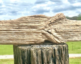 Water Worn Sculptured Plank Driftwood Piece, Aquarium, Terrarium, Taxidermy, Photo Prop, Beach Wedding Decor, DIY Craft Supply, Reptile Tank