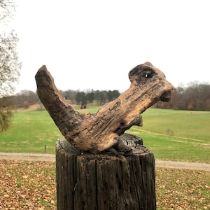 May include: A rustic wooden sculpture of a squirrel perched on a wooden post. The sculpture is made from natural wood and has a weathered, brown finish. The squirrel is in a playful pose, with its tail curled up and its head tilted to the side.