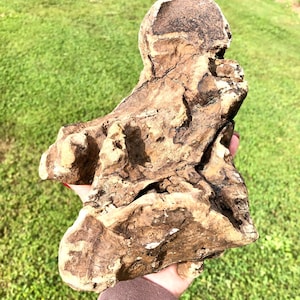 On Hold-Ghost Shaped Driftwood Piece, Rustic Coastal Garden Decor, Aquarium Terrarium Reptile Tank Decor, Beach Coastal Art DIY Freshwater