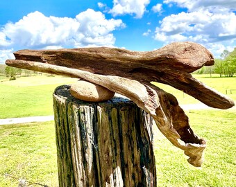 Unknown Wood Tree  & Root Driftwood Piece, Aquarium, Terrarium, Taxidermy, Photo Prop, Beach Wedding Decor, DIY Craft Supply, Reptile Tank