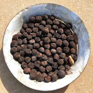 May include: A metal bowl filled with numerous dark brown, textured nuts. The bowl has a distressed, light blue and white painted finish. The nuts are clustered together, filling the bowl. The image is taken in natural light, casting shadows.