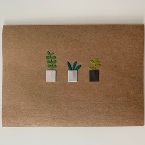 plantenliefhebber