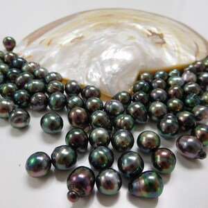 9-12mm Super-peacock Circle-drop/baroque Loose Tahitian Pearls - Etsy