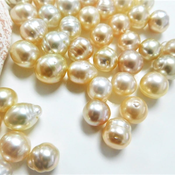 8-11mm Champagne Golden Circle-Baroque South Sea Loose Pearl