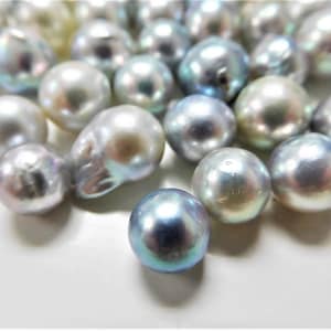 10pcs. of Undrilled Mix 8-10mm Blue/Multi Round-Baroque Akoya Loose Lot
