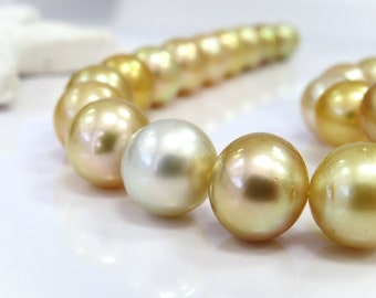 11-14mm Golden Multi Round/Near-Round South Sea Pearl Necklace Strand