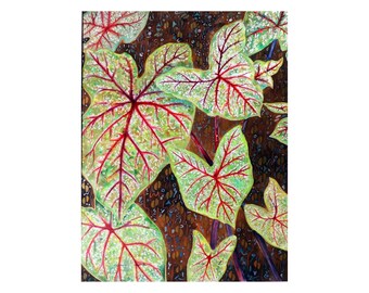 Red Caladium Leaves Original  Watercolour ,Botanical Contemporary Fine Art Modern Tropical Plant. Caladium Wall Art Painting