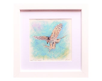 Falcon Original Watercolour.  Small Square Bird of Prey Artwork. Hawk Wall Art. Raptor Fine Art