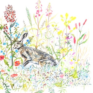 Hare and Flowers Print from  Watercolour Painting. Limited image 4