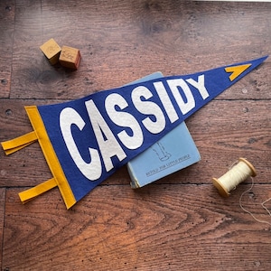 Custom pennant flag in blue, white and mustard