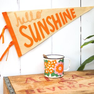 Hello Sunshine Pennant Flag