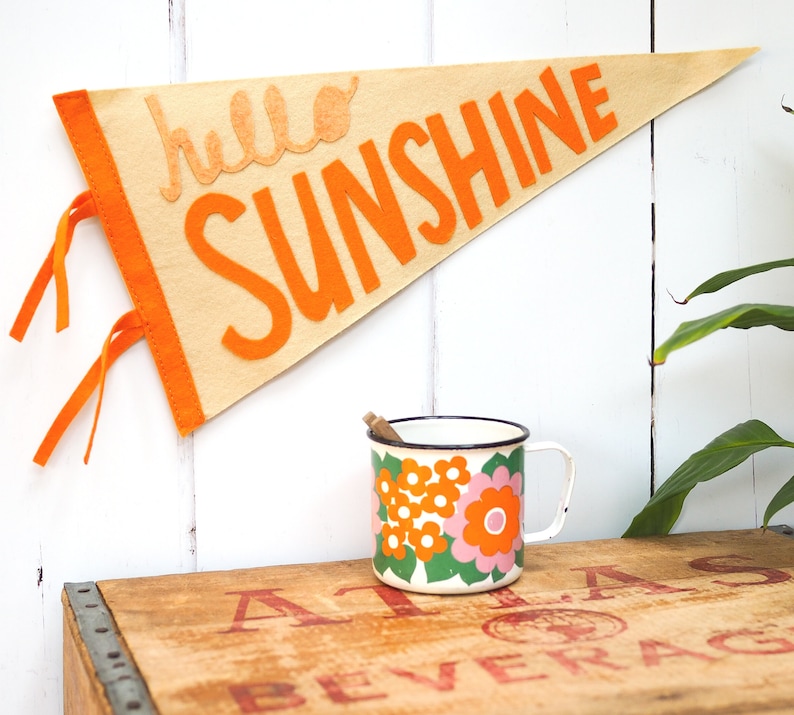 Hello Sunshine Pennant Flag