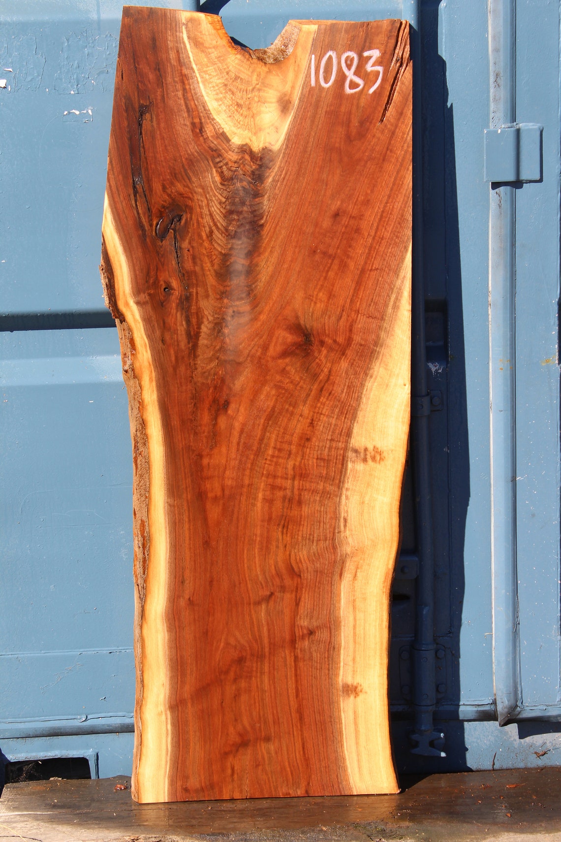 Black Walnut Live Edge Slab 1083 /diy/hardwood Custom Project Etsy