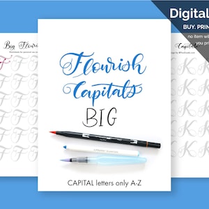 Big Brush Marker Flourish Capital Letters Alphabet Modern Calligraphy Lettering Practice Sheets iPad lettering guide brush flourishing guide image 1