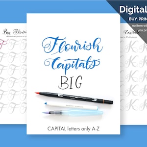 Big Brush Marker Flourish Capital Letters Alphabet Modern Calligraphy Lettering Practice Sheets iPad lettering guide brush flourishing guide