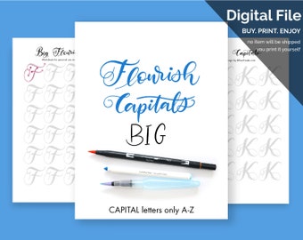 Big Brush Marker Flourish Capital Letters Alphabet Modern Calligraphy Lettering Practice Sheets iPad lettering guide brush flourishing guide