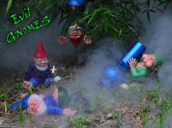 Evil Gnomes Drinky Etsy