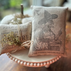 May include: Two rectangular burlap pillows with vintage-style prints. One features a witch illustration and the text "THE FAMOUS MOTHER SHIPTON". The other has text and is tied with twine and dried flowers. The pillows are on a white, beaded stand.