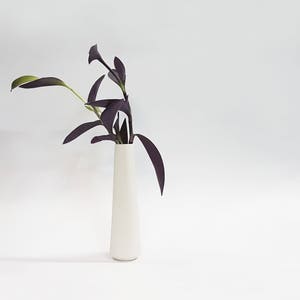 May include: A white ceramic vase with a narrow opening and a wide base, holding a bouquet of purple and green leaves.