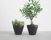2x cactus pots, ceramic planters, small planter, plant pot, modern planter, herb planter, house plant, small plant pot, mint, gift idea