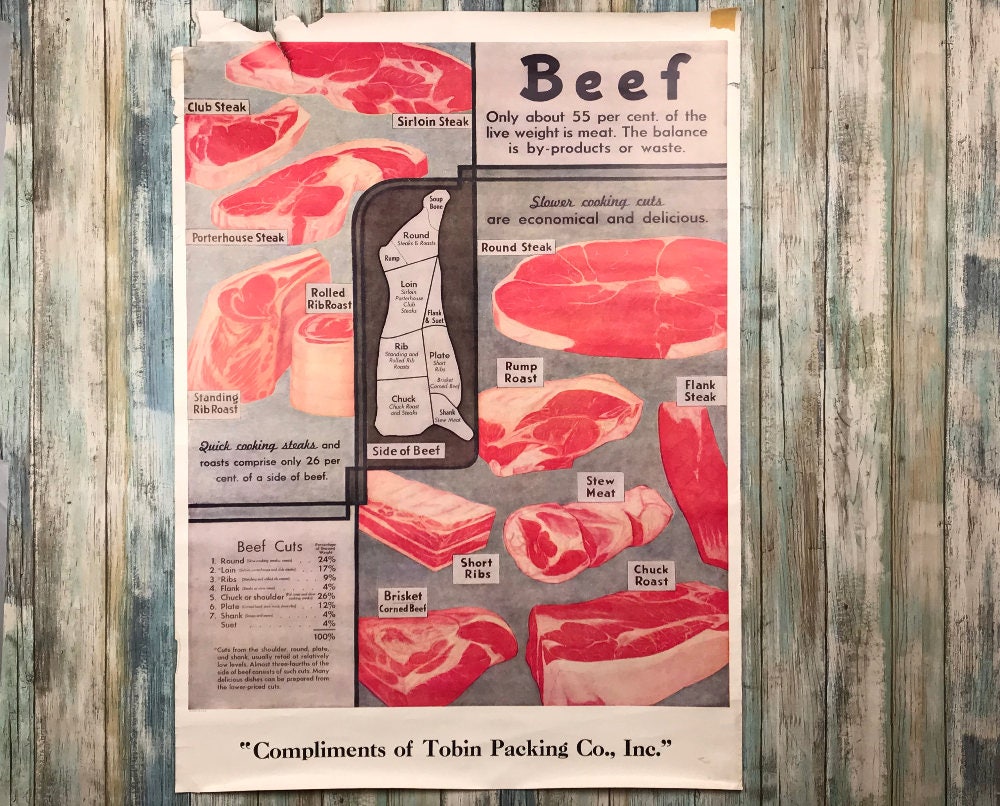 Beef Anatomy Chart