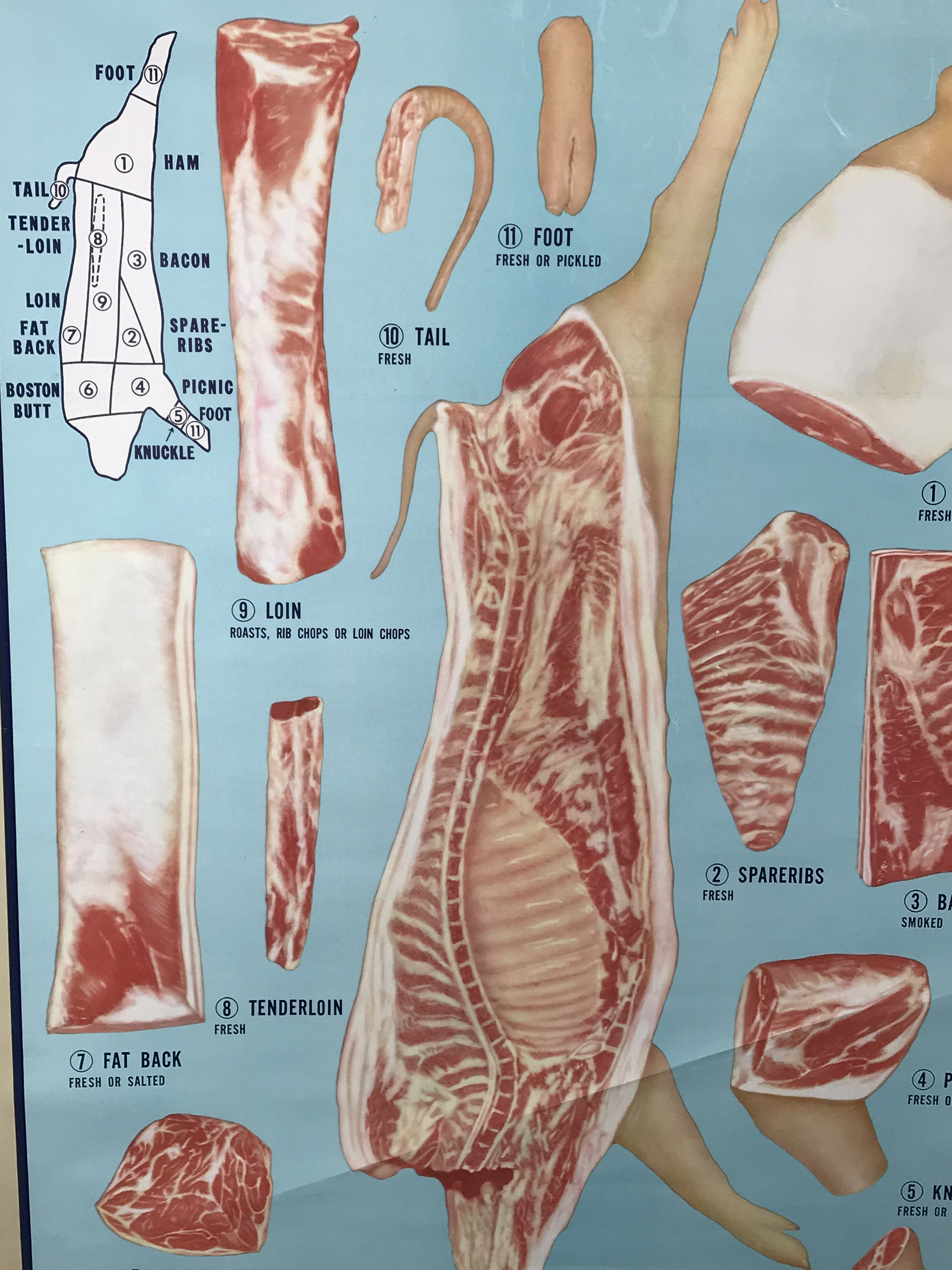 Vintage Butcher's Chart Poster - Large Pork Diagram - 1950 ... york pig diagram 