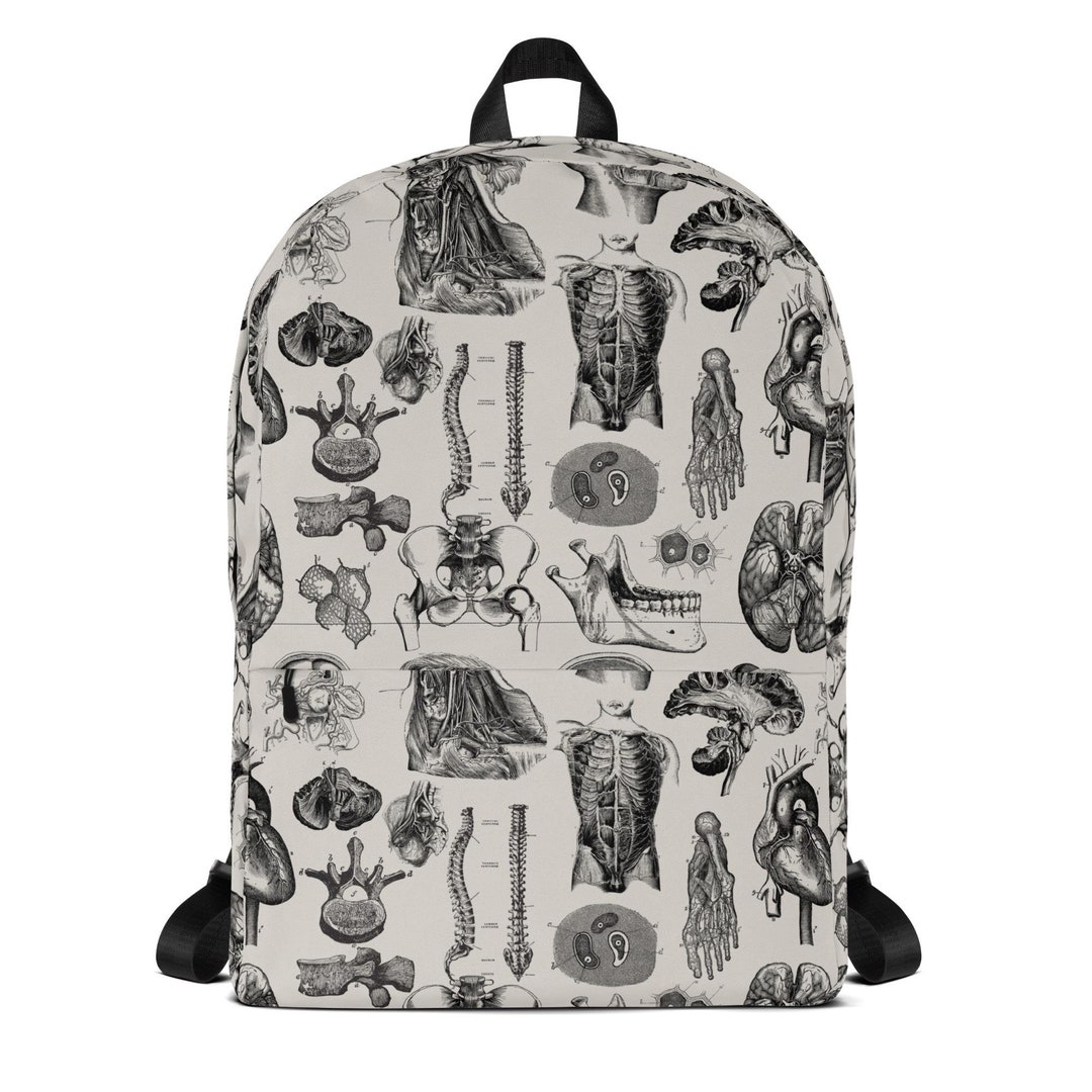 Human Anatomy Backpack With Laptop Compartment, Padded Ergonomic Straps ...