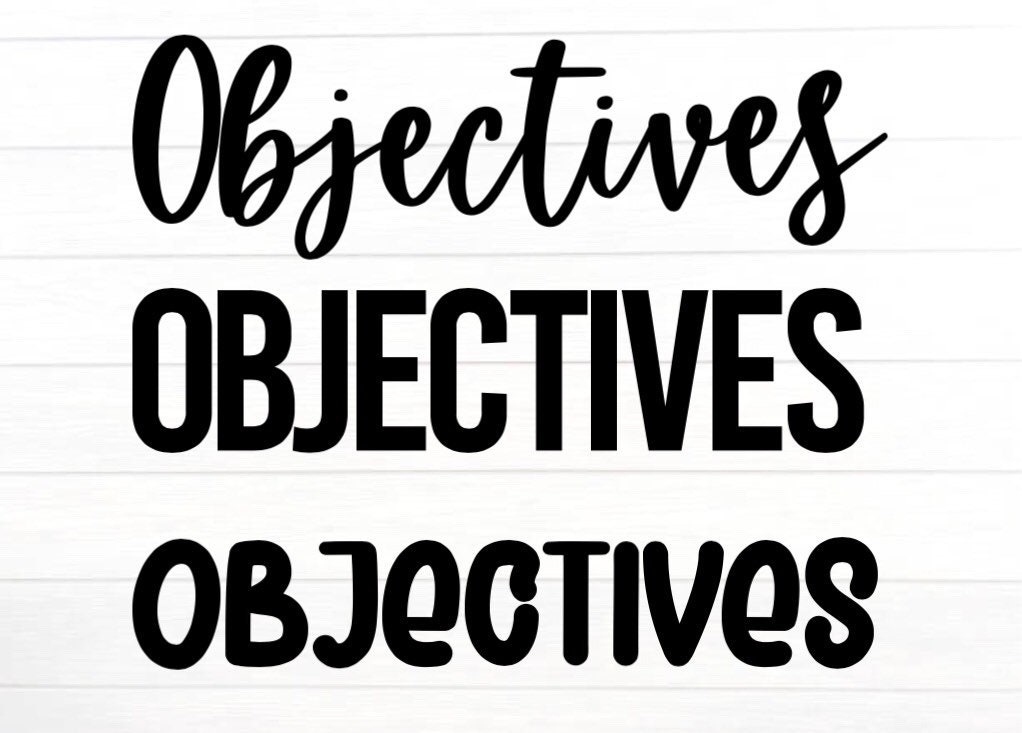 Objectives Decal Classroom Decal Teaching Objectives Decal | Etsy