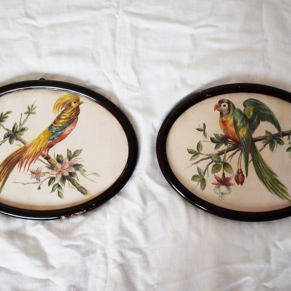 Deux peintures antiques hongroises d’oiseaux peints sur soie des années 40