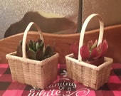Easter Two small mini vintage wicker basket for succulent planters trinkets herbs dolls Boho farmhouse country market handled miniature
