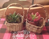 Easter Basket Set Small wicker woven basket succulent planter doll basket Boho farmhouse country market handled miniature