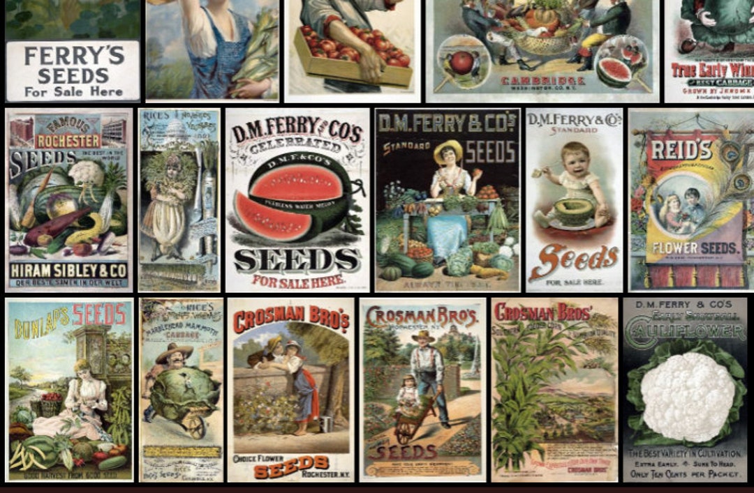 Antique Seed Packets III – beautiful poster wall art – Photowall