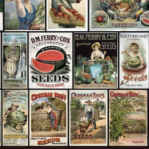 Gorgeous Vintage Seed packet prints ads sign catalog flowers vegetables Wall Art garden Junk Journal Decoupage Printable Download Digital