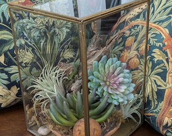 Vintage Terrarium Large Glass Brass Display Box Brass Framed Planter Indoor Garden