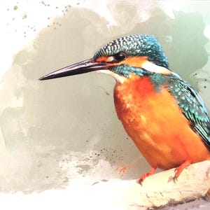 Stampa artistica ad acquerello del martin pescatore