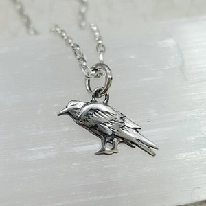 Raven necklace, tiny Silver Raven on Sterling silver chain little bird necklace crow black bird Good luck bird 1/2” wisdom Odin harbinger